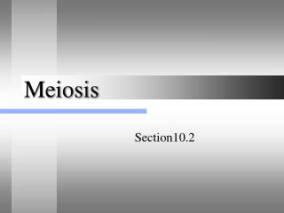 Meiosis
