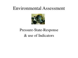 Environmental Assessment