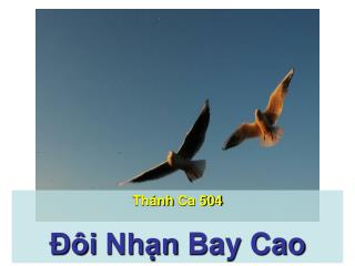 Thánh Ca 504 Đôi Nhạn Bay Cao