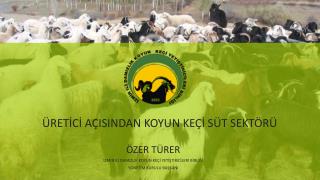 ÜRETİCİ AÇISINDAN KOYUN KEÇİ SÜT SEKTÖRÜ