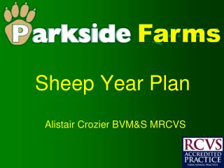 Sheep Year Plan