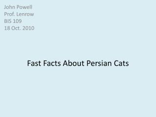 Fast Facts About Persian Cats