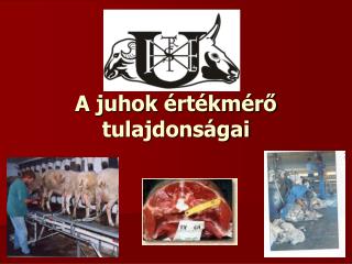 A juhok értékmérő tulajdonságai