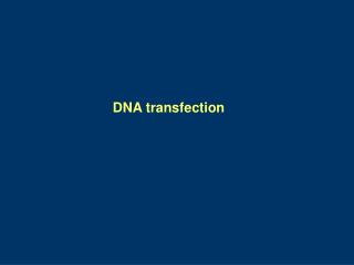 DNA transfection