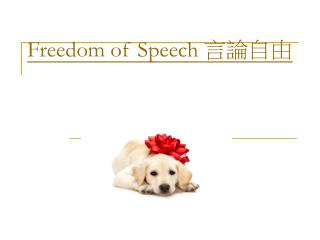 Freedom of Speech 言論自由