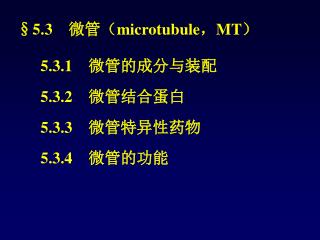 §5.3 　微管（ microtubule ， MT ）
