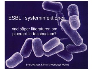 ESBL i systeminfektioner