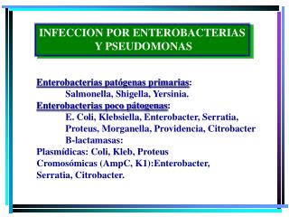 INFECCION POR ENTEROBACTERIAS Y PSEUDOMONAS