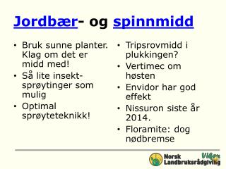 Jordbær - og spinnmidd