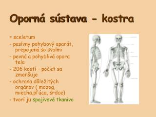 Oporná sústava - kostra