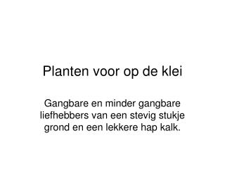 Planten voor op de klei