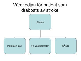 Vårdkedjan för patient som drabbats av stroke