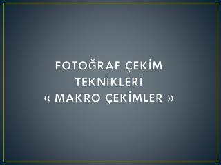 FOTOĞRAF ÇEKİM TEKNİKLERİ « MAKRO ÇEKİMLER »