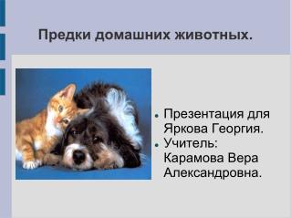 Предки домашних животных.