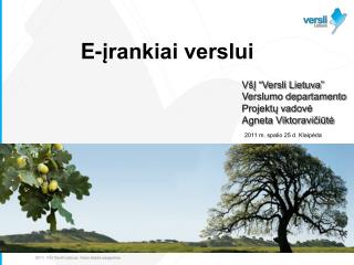 2011. VŠĮ Versli Lietuva . Visos teisės saugomos.