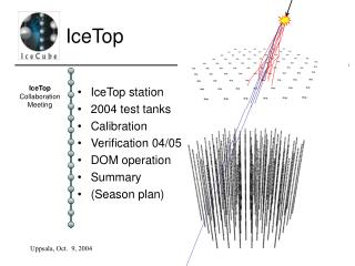 IceTop