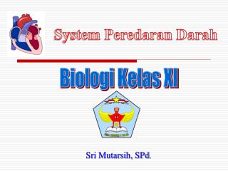 Biologi Kelas XI