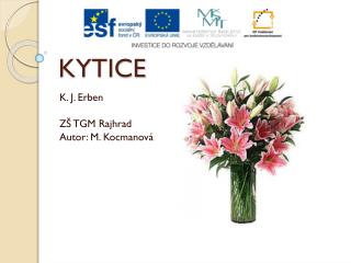 KYTICE