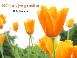 Růst a vývoj rostlin Daša Bastlová