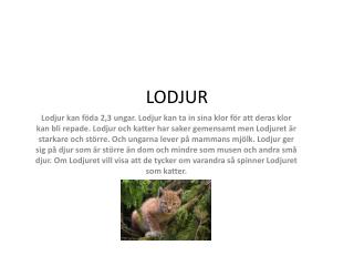 LODJUR