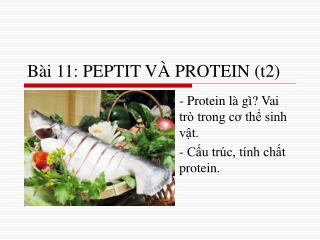 Bài 11: PEPTIT VÀ PROTEIN (t2)