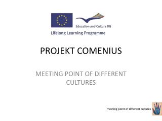 PROJEKT COMENIUS