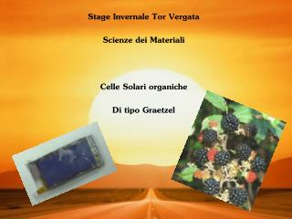 Stage Invernale Tor Vergata Scienze dei Materiali Celle Solari organiche Di tipo Graetzel