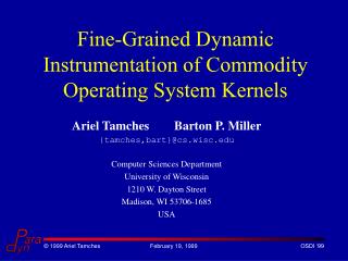 Fine-Grained Dynamic Instrumentation of Commodity Operating System Kernels