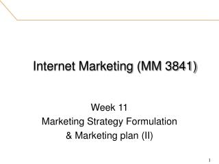 Internet Marketing (MM 3841)