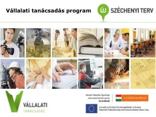 Vállalati tanácsadás program