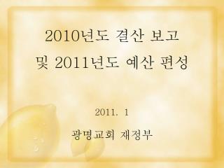 2010 년도 결산 보고 및 2011 년도 예산 편성