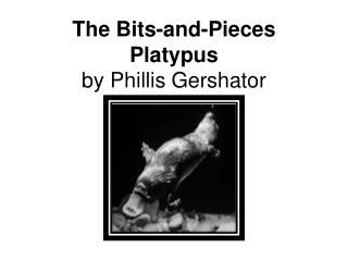 The Bits-and-Pieces Platypus by Phillis Gershator