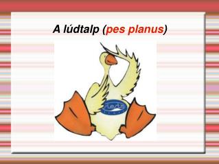 A lúdtalp ( pes planus )