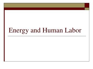 Energy and Human Labor