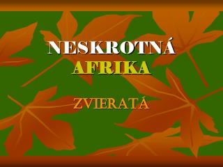 NESKROTNÁ AFRIKA