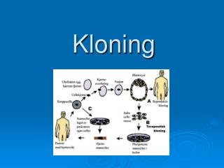 Kloning