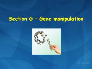 Section G – Gene manipulation