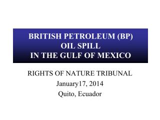 BRITISH PETROLEUM (BP) OIL SPILL IN THE GULF OF MEXICO