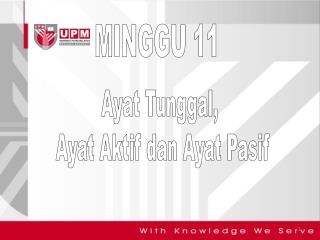 MINGGU 11