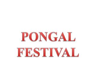 PONGAL FESTIVAL