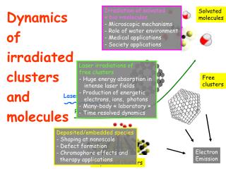 Dynamics of irradiated clusters and molecules