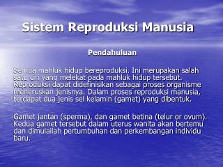 Sistem Reproduksi Manusia