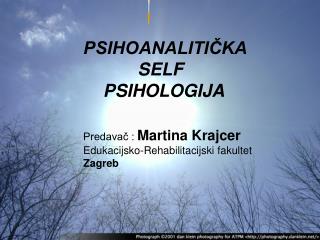 PSIHOANALITIČKA SELF PSIHOLOGIJA Predavač : Martina Krajcer