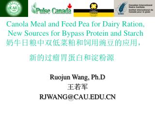 Ruojun Wang, Ph.D 王若军 RJWANG@CAU.EDU.CN