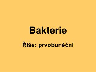 Bakterie