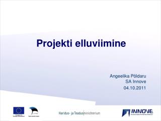 Projekti elluviimine