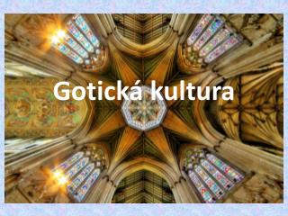 Gotická kultura