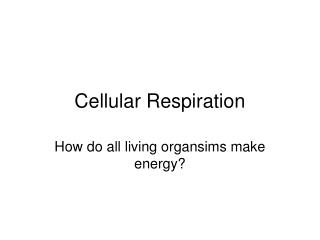 Cellular Respiration