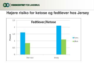 Højere risiko for ketose og fedtlever hos Jersey