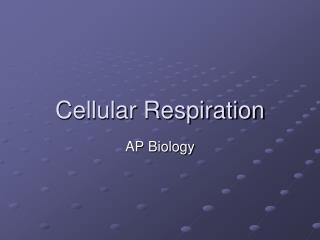 Cellular Respiration